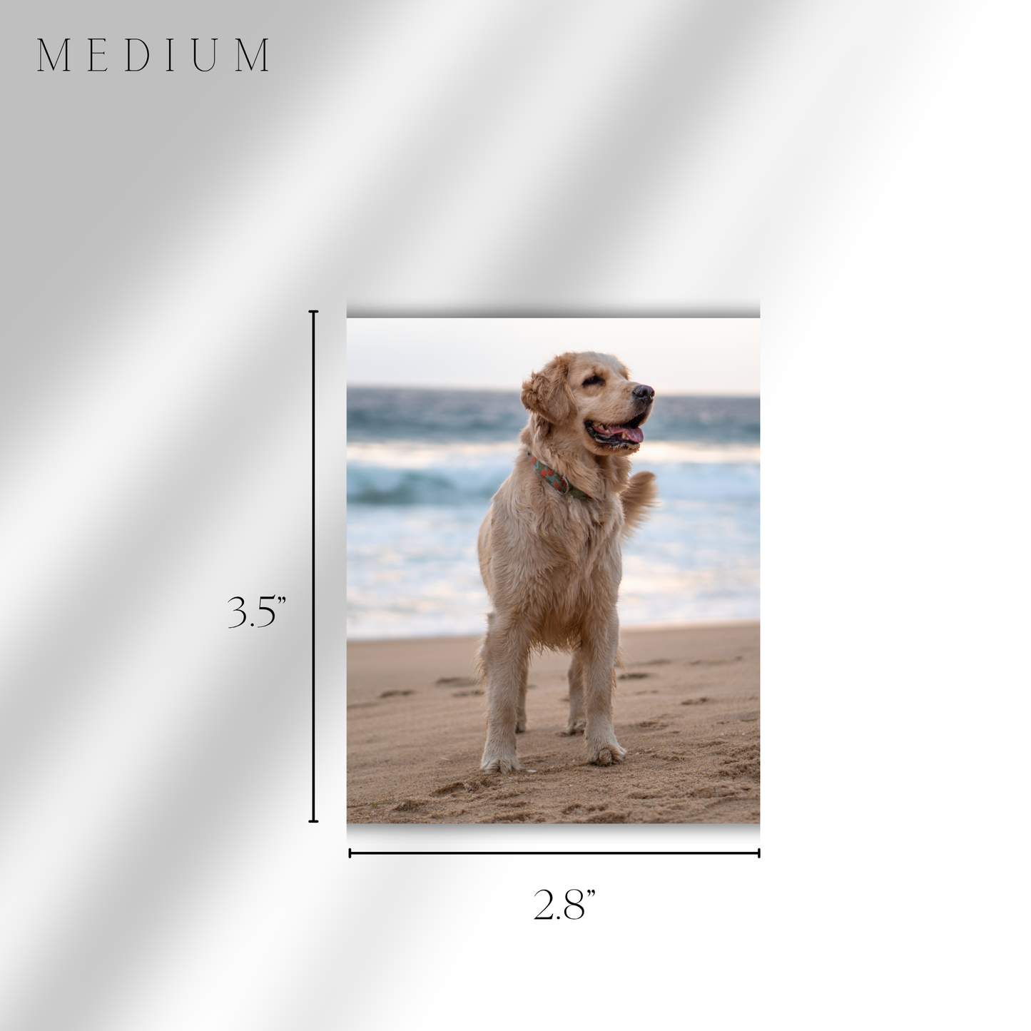 Personalized Photo Magnets